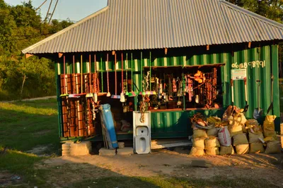 DSC_4175 (Large).JPG